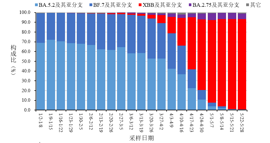 新疆疫情最新動態(tài)，自然療愈之旅助力重拾內(nèi)心寧靜與微笑