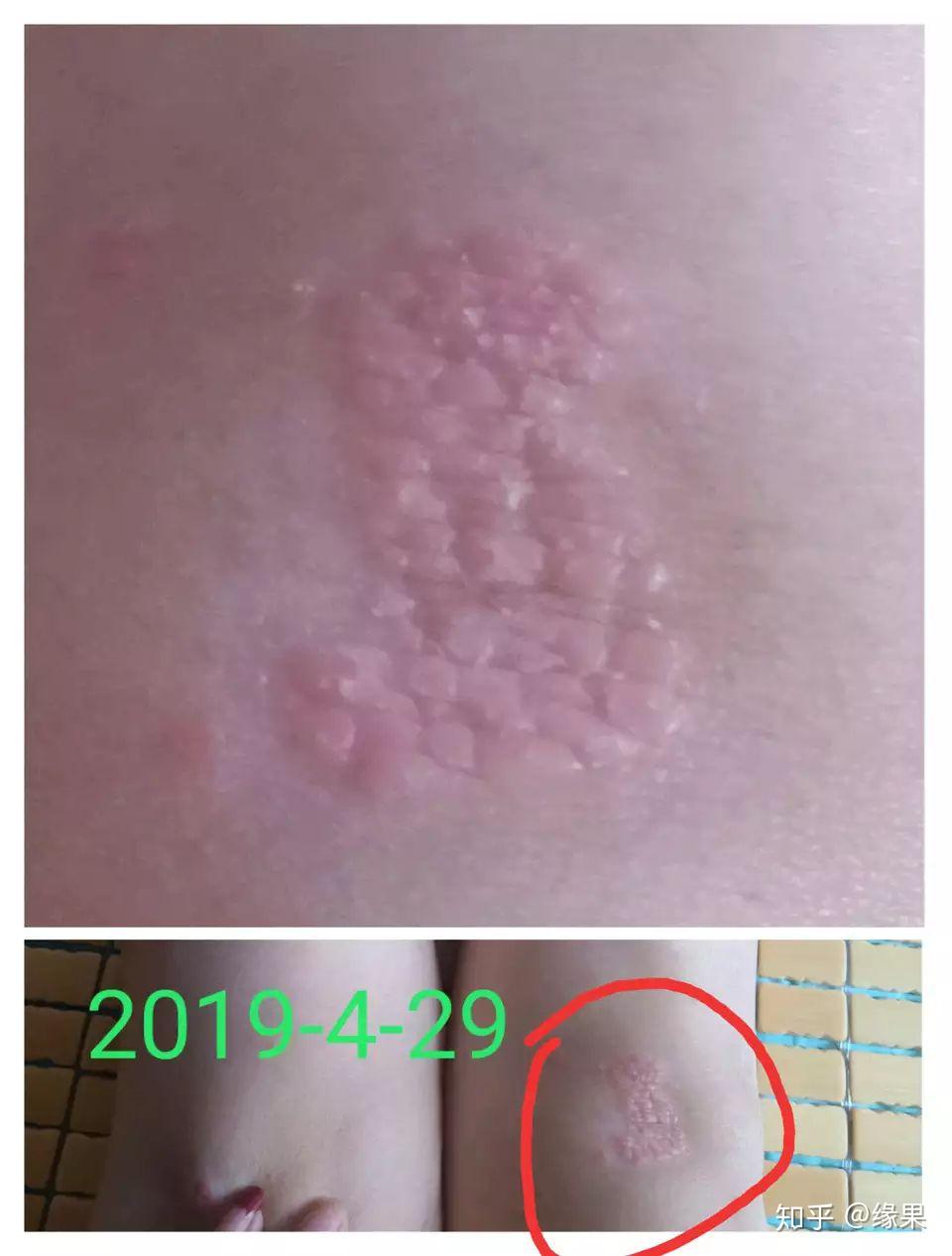 第2337頁