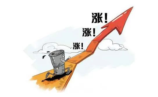 小巷深處的神秘寵物店，最新下司犬出售信息一覽