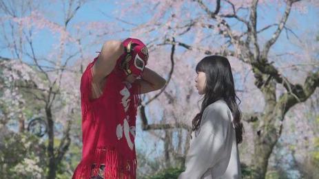 最新八天國(guó)，小巷深處的獨(dú)特風(fēng)情