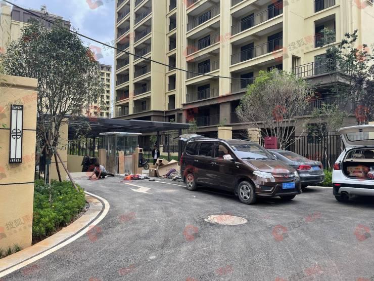 云南昆明泛亞之旅，日常趣事與深情紐帶最新消息