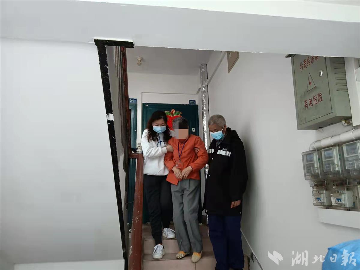 最新洪訊，自然美景探索之旅