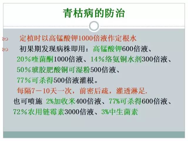 白小姐449999精準(zhǔn)一句詩,仿真方案實(shí)施_超高清版49.589