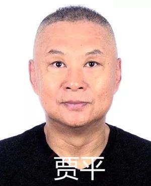 賈平演員，小巷深處的寶藏探索與特色小店的魅力之旅