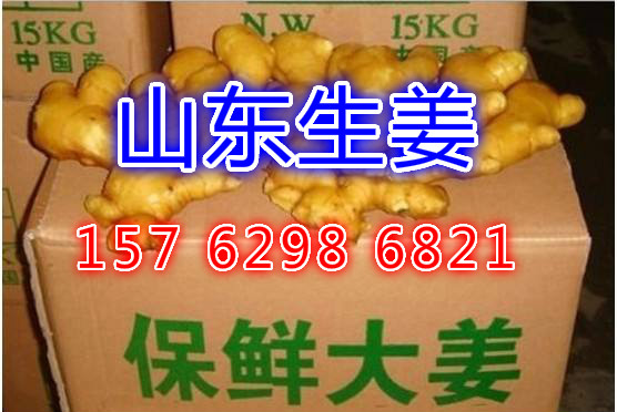 今日生姜最新價格行情,今日生姜最新價格行情分析