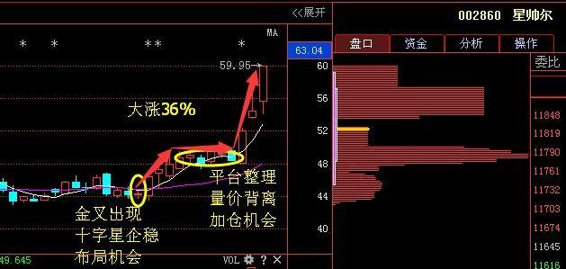 星帥爾最新動態(tài)，星空露營夜歡樂啟幕