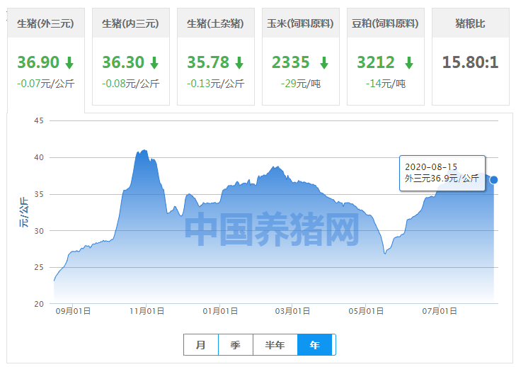2025年新澳開獎結果,處于迅速響應執(zhí)行_文化版62.261