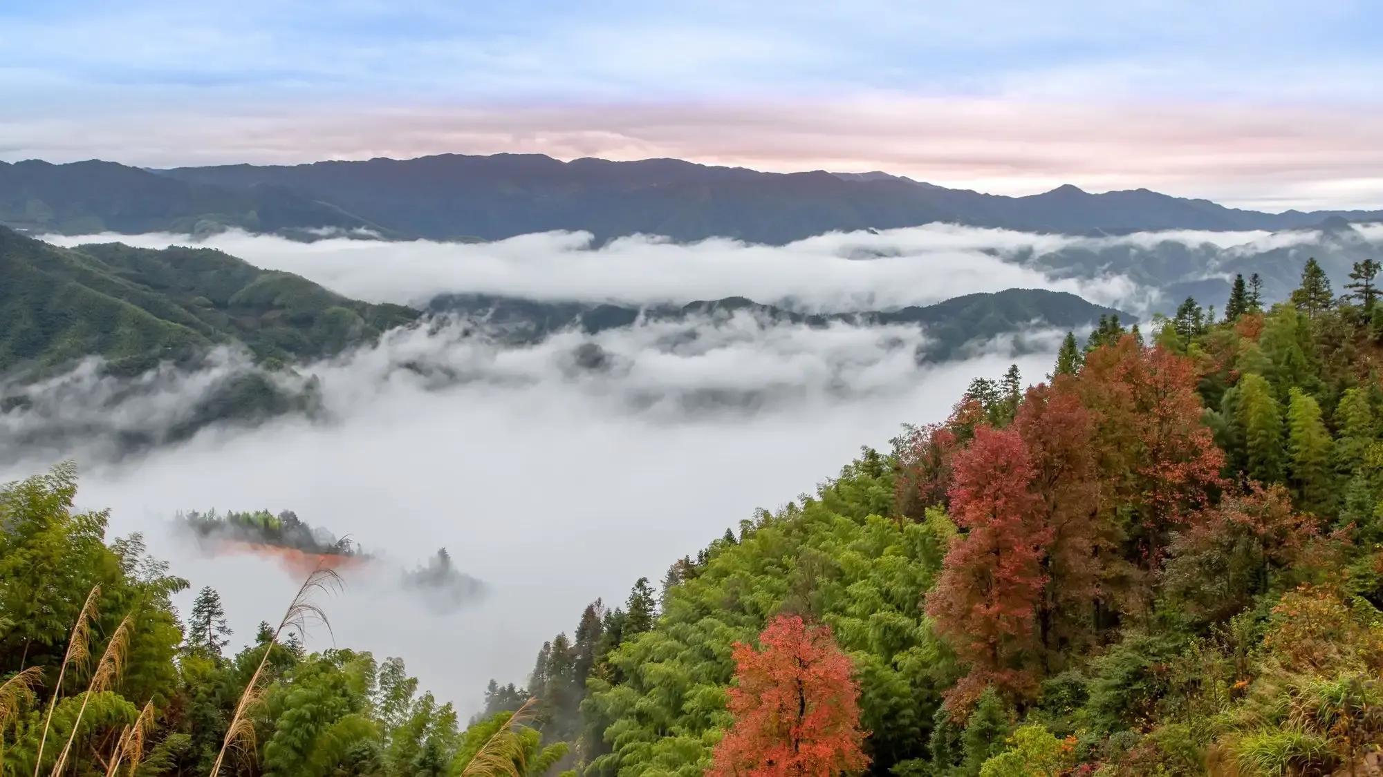 炎陵縣自然美景探索之旅
