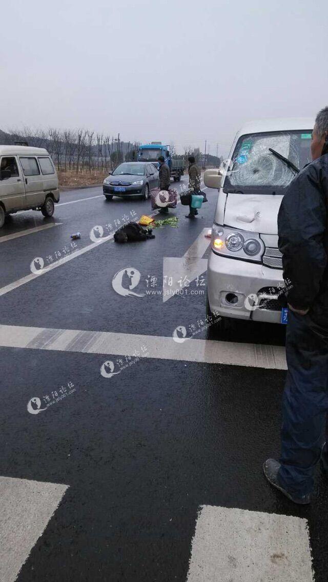 湖州車禍最新情況及論述分析