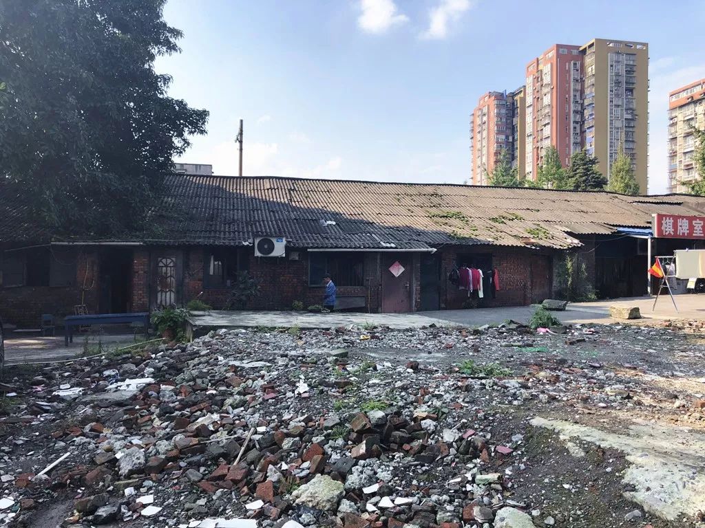 宜賓紙廠最新動態(tài)，小巷深處的紙藝瑰寶