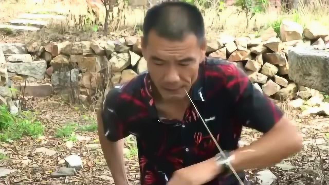 搞笑農(nóng)夫最新，笑迎人生挑戰(zhàn)，自信閃耀學(xué)習(xí)之路
