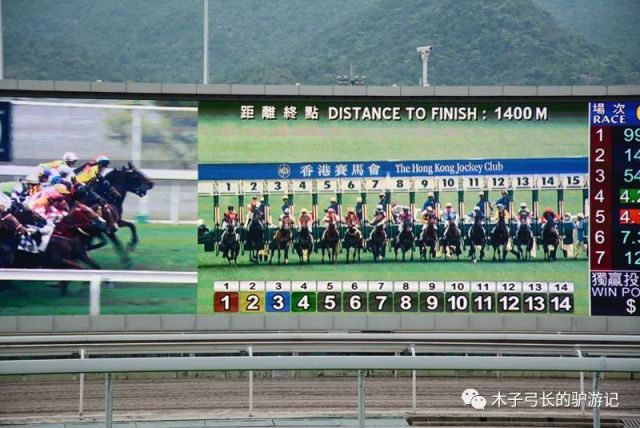 2025香港賽馬全年免費(fèi)資料,穩(wěn)固執(zhí)行方案計(jì)劃_珍藏版38.912