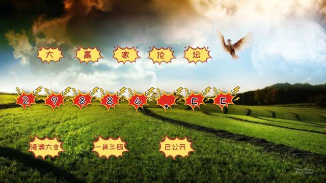 4949澳門彩開獎(jiǎng)結(jié)果,專家解析意見_為你版38.756