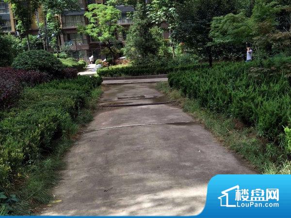 時(shí)豐姜溪花都最新動(dòng)態(tài)更新概況