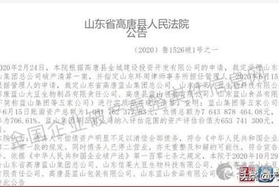 高唐藍(lán)山存款最新動態(tài)更新！