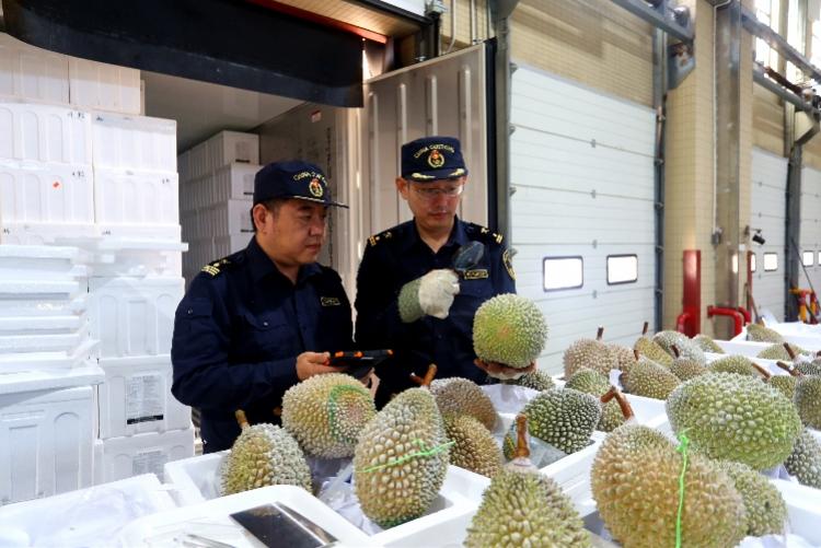 南沙口岸大廈最新招聘信息及啟事