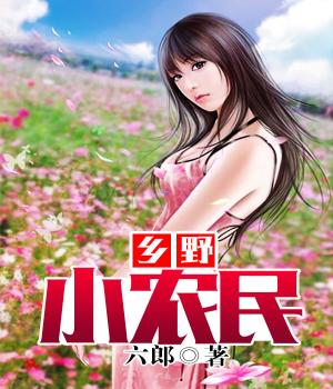村野小農(nóng)民與現(xiàn)代農(nóng)村生活的變遷與啟示最新章節(jié)