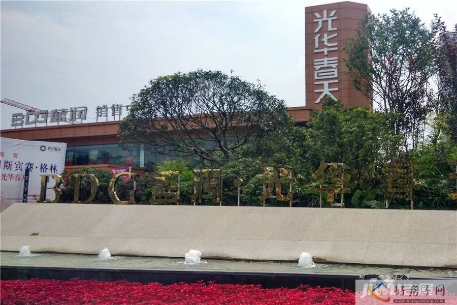 藍光雨潤最新動態(tài)更新，最新消息匯總