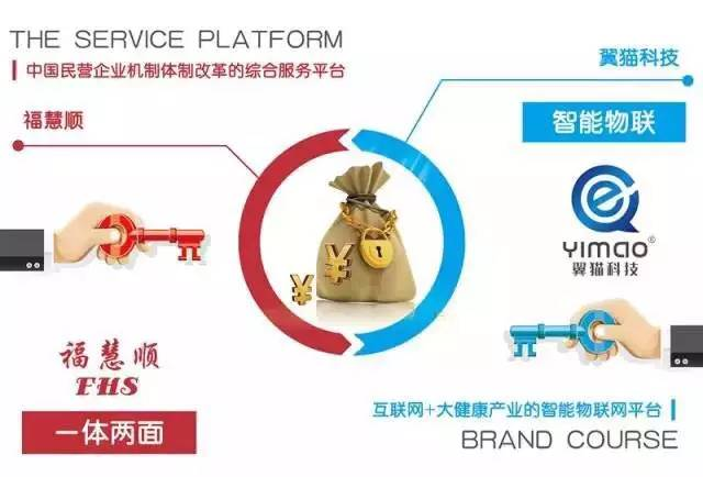 ?；垌槃④娮钚聞討B(tài)揭秘，小巷中的獨特風(fēng)味