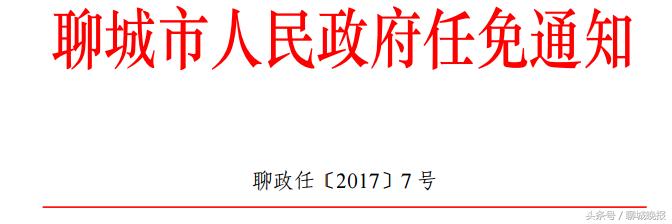 山東聊城最新人事任免,山東聊城最新人事任免，小巷深處的獨(dú)特風(fēng)味