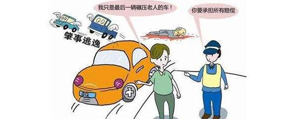 交通肇事逃逸最新法律規(guī)定，變化中的自信與成長之路