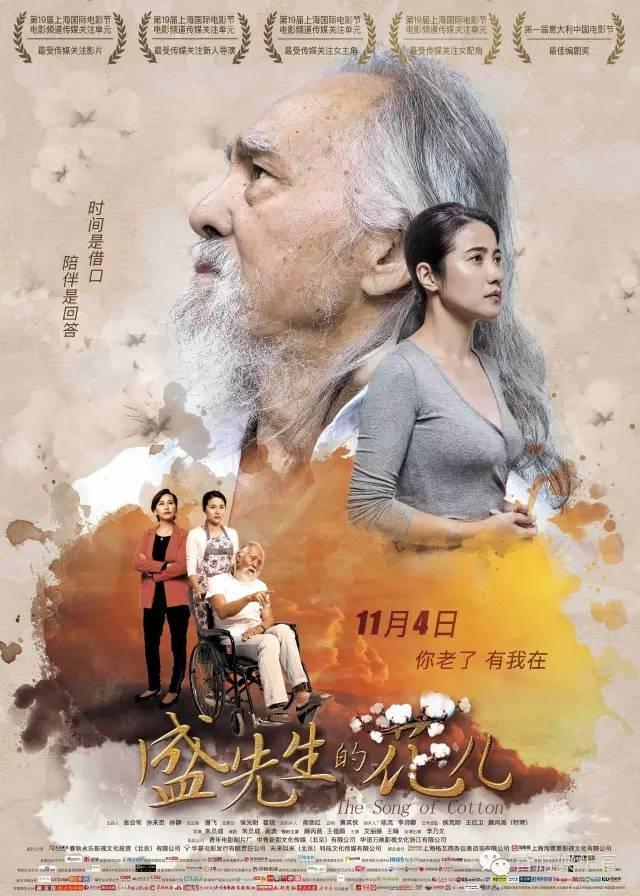 顏丙燕演藝之路的輝煌與影響，最新訪談揭秘影響力與成長歷程
