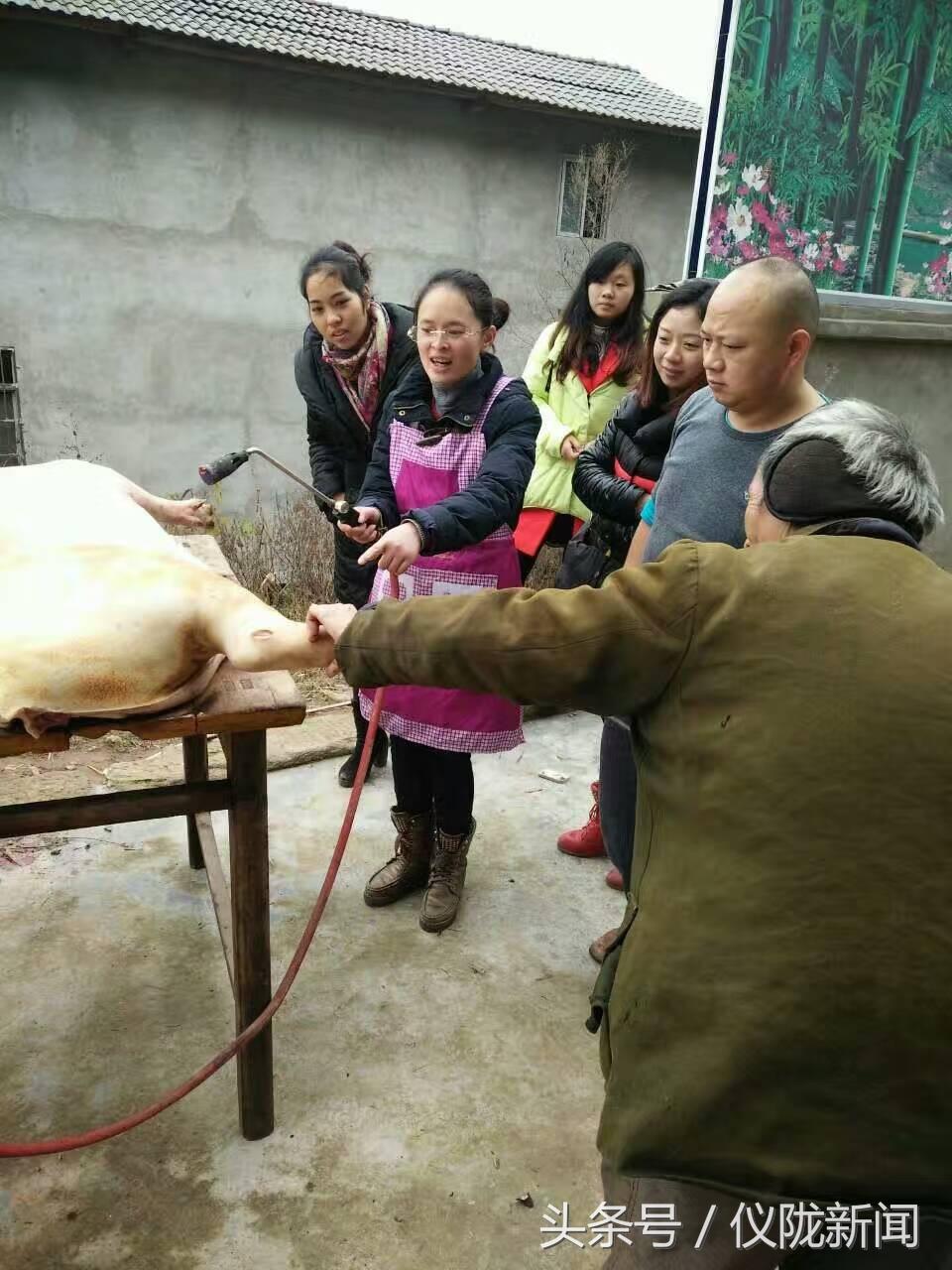 最新宰殺美女事件，時(shí)代悲劇下的反思