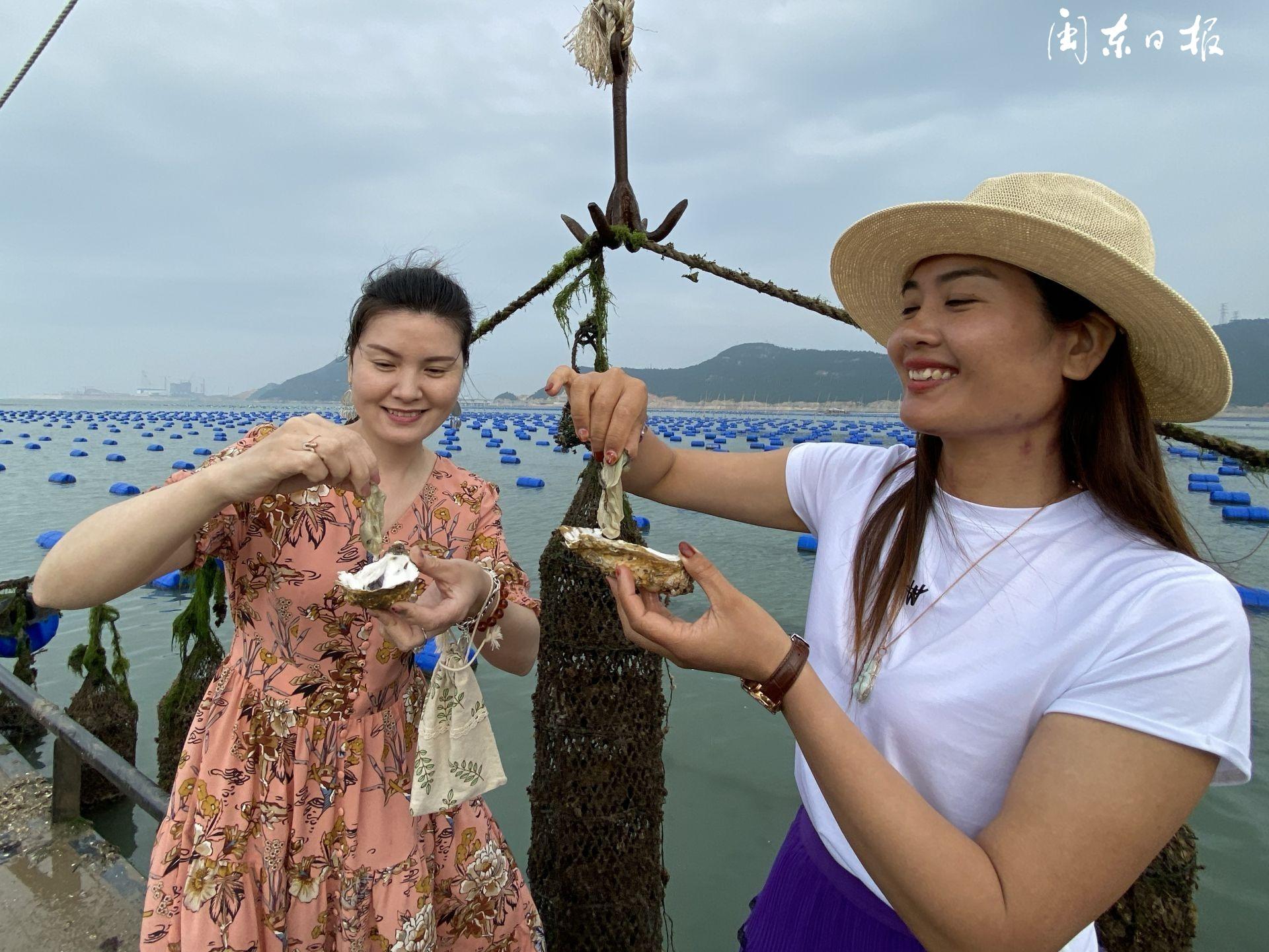 霞浦海參最新動態(tài)與資訊