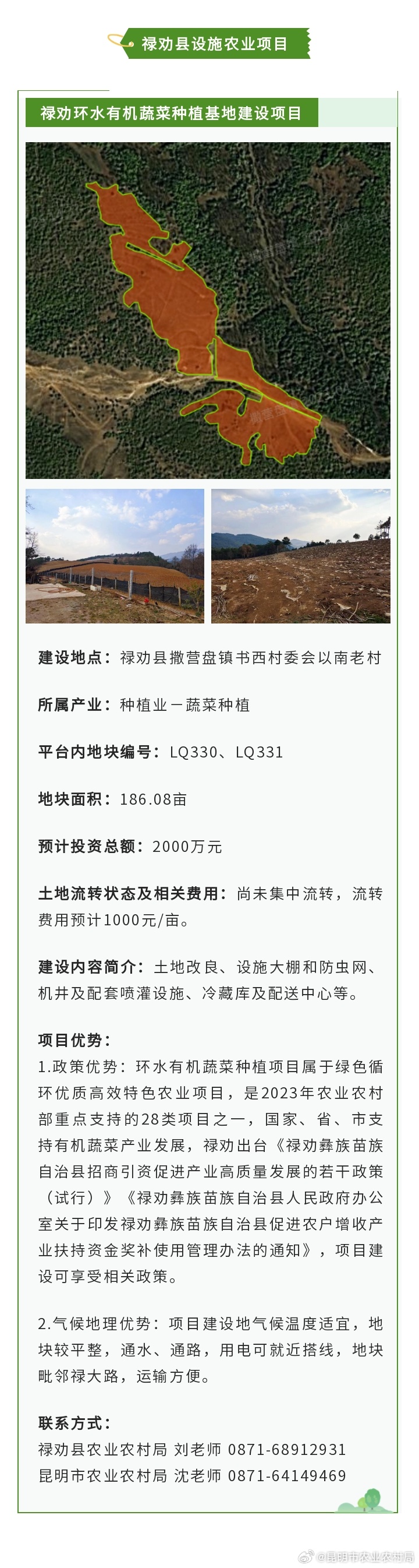 新時代財富探索，最新致富好項目指南
