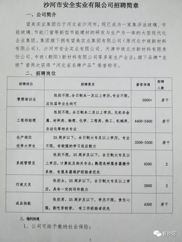 沙河司機最新招聘，科技驅動，駕馭未來之旅